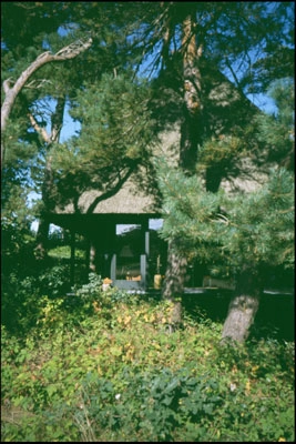 Korshagehus Sydterrasse