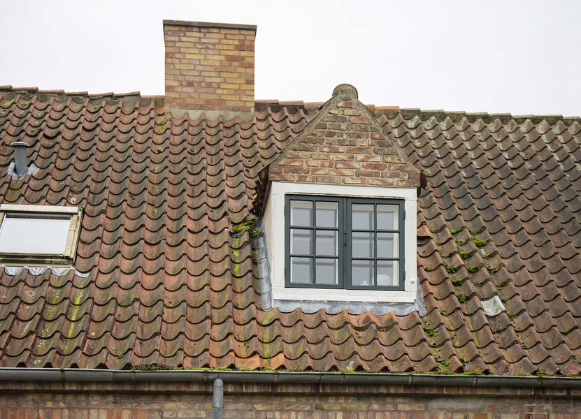 Bakkehusene Foto: 2023