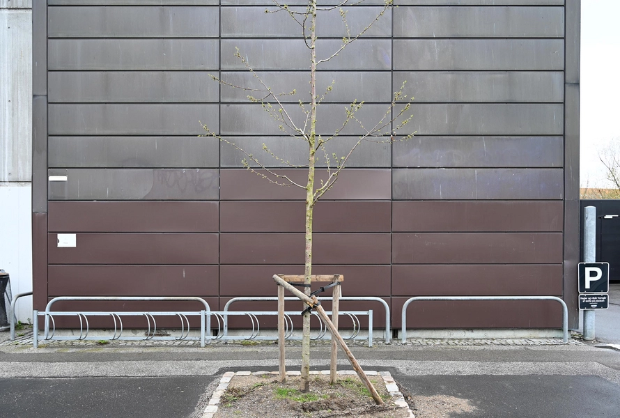 Værkstedsbygning ved Ortopædisk Hospital 