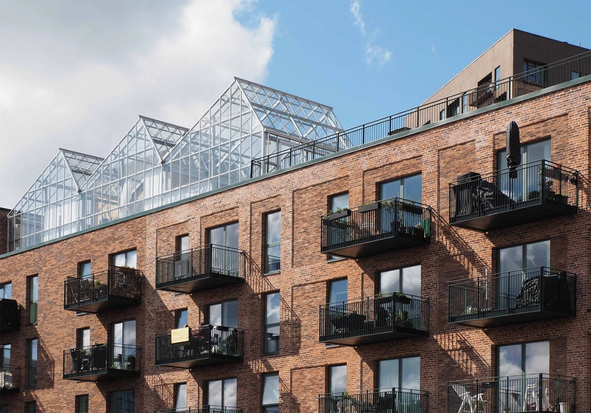 Grønttorvet - Lathyrus Hus 