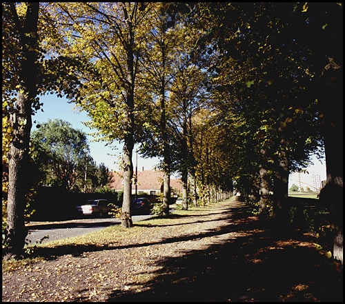 Bakkehusene Allé ved enderækkehuse