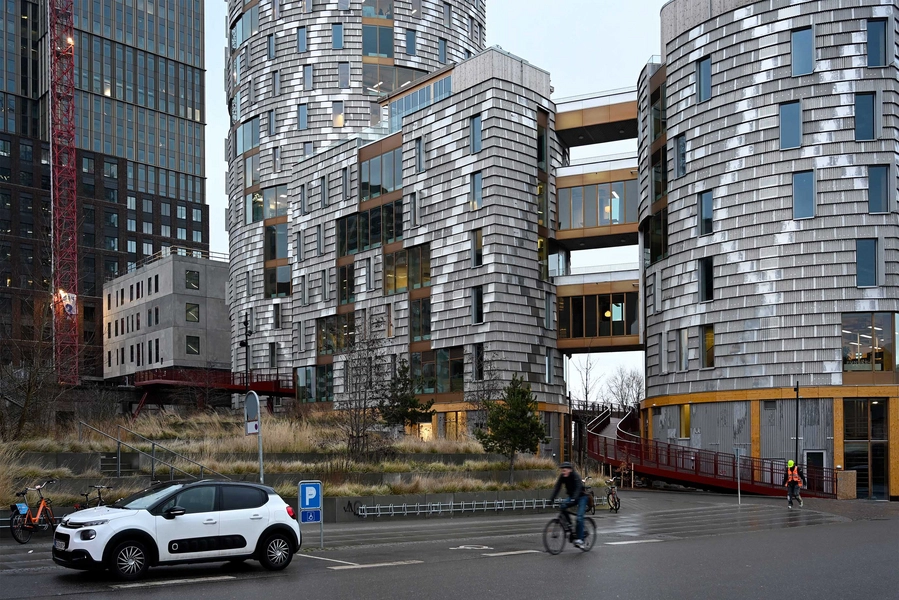 TRÆ Alle fotos er fra 2025.