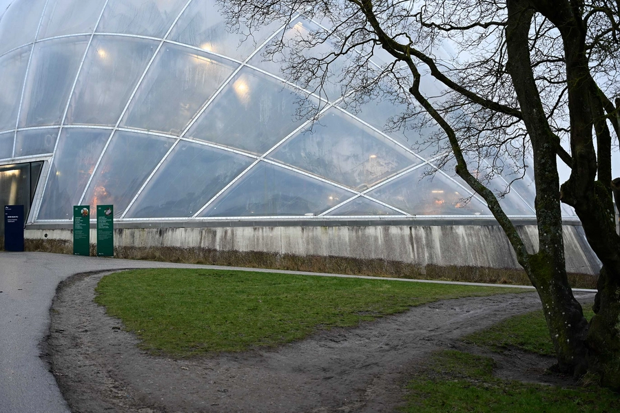 Væksthusene i Botanisk Have i Aarhus 