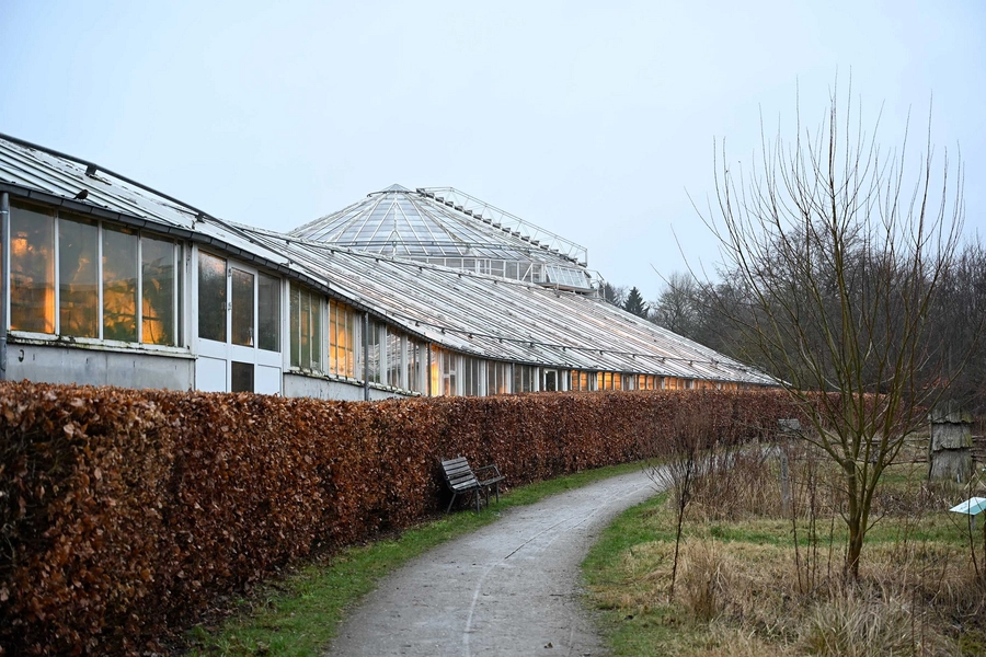 Væksthusene i Botanisk Have i Aarhus 