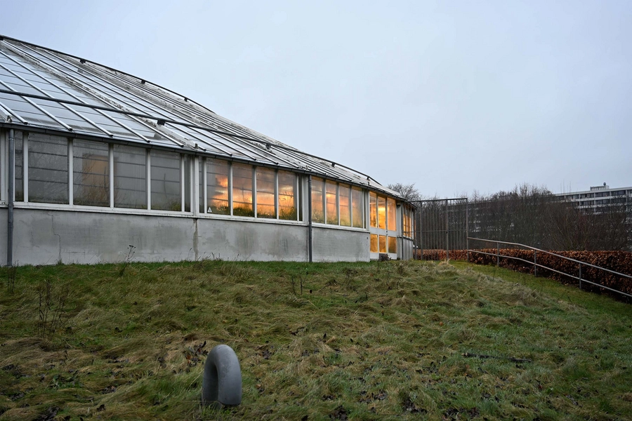 Væksthusene i Botanisk Have i Aarhus 