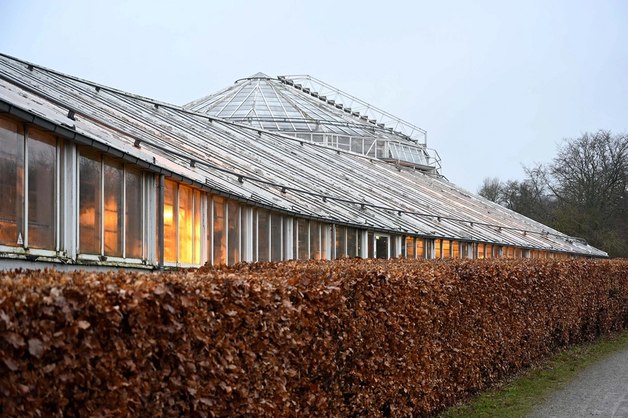 Væksthusene i Botanisk Have i Aarhus 