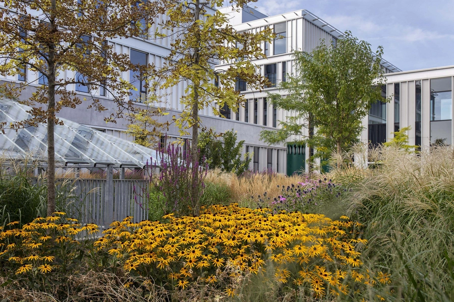 Nyt Hvidovre Hospital 