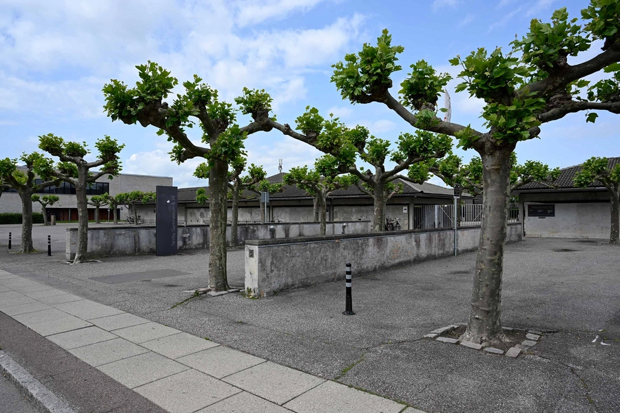 Tårnby Gymnasium & HF 