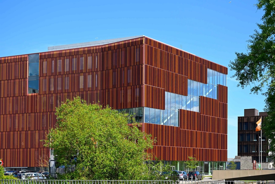 IBA Erhvervsakademi Kolding Foto: 2025