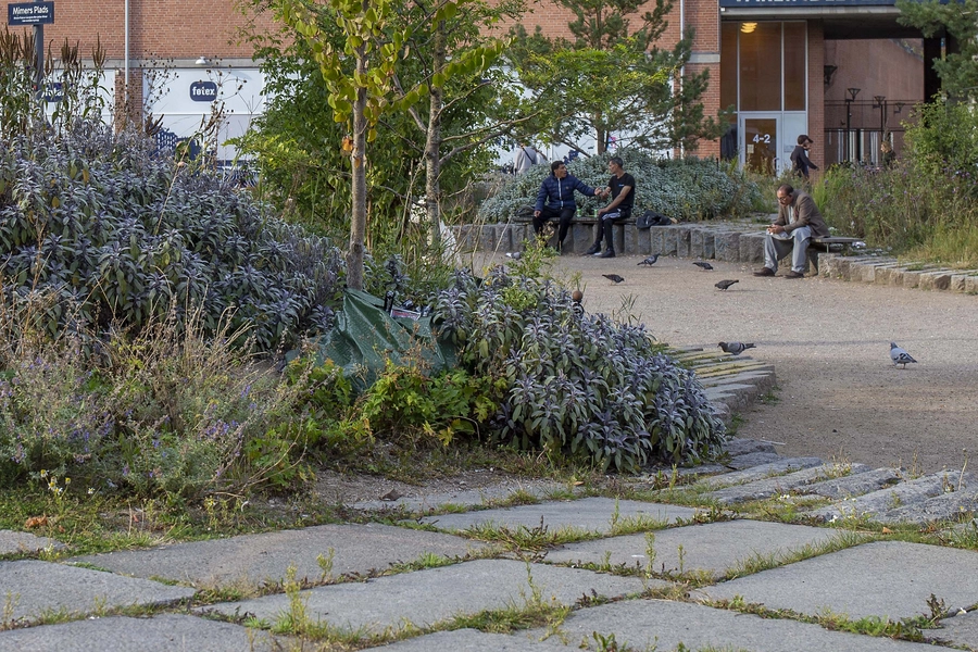 Mimers Plads Foto: 2025