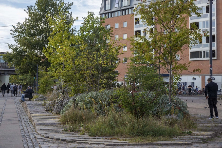 Mimers Plads Foto: 2025