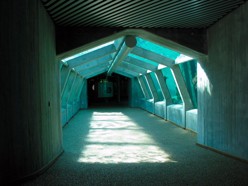 Nordsøen Oceanarium 