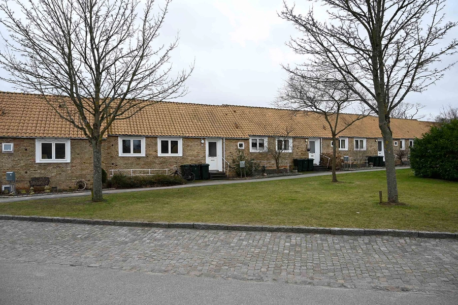 Søndergård Park Foto: 2024