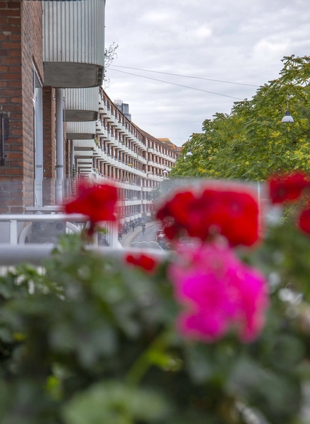 Møllelængen Foto fra 2025 for Nordic Office of Architecture