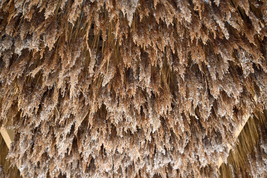 Inside Out, Downside Up - Slow Pavilions 