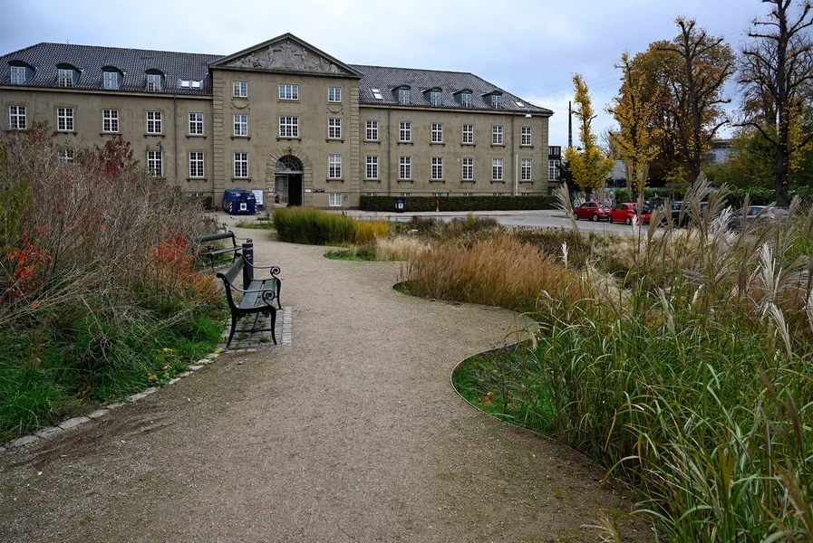 Øasen - Carl Nielsens Allé Alle fotos er fra 2025