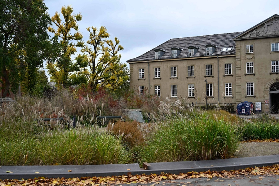 Øasen - Carl Nielsens Allé 