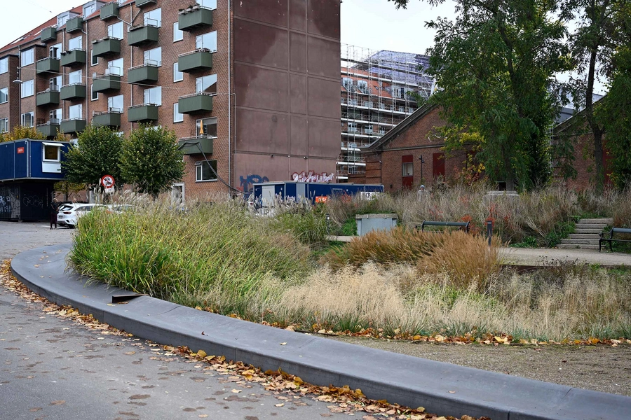 Øasen - Carl Nielsens Allé 