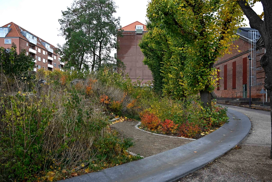 Øasen - Carl Nielsens Allé 