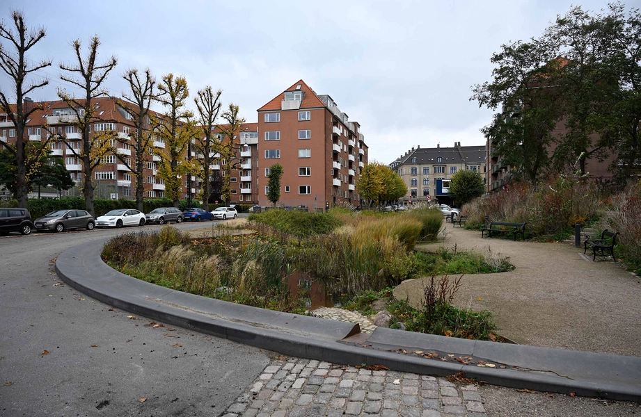 Øasen - Carl Nielsens Allé 