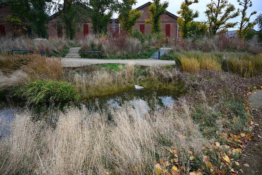 Øasen - Carl Nielsens Allé 