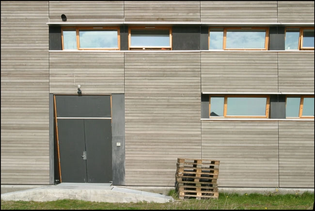 Den Danske Scenekunstskole (Teaterskolen) Facadeudsnit