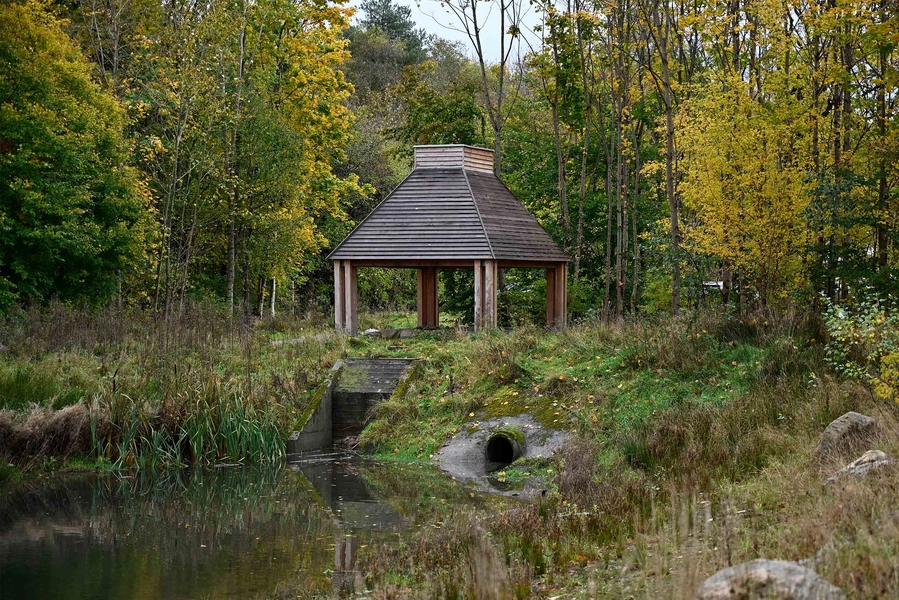 Natur Østbirk Alle fotos er fra 2025