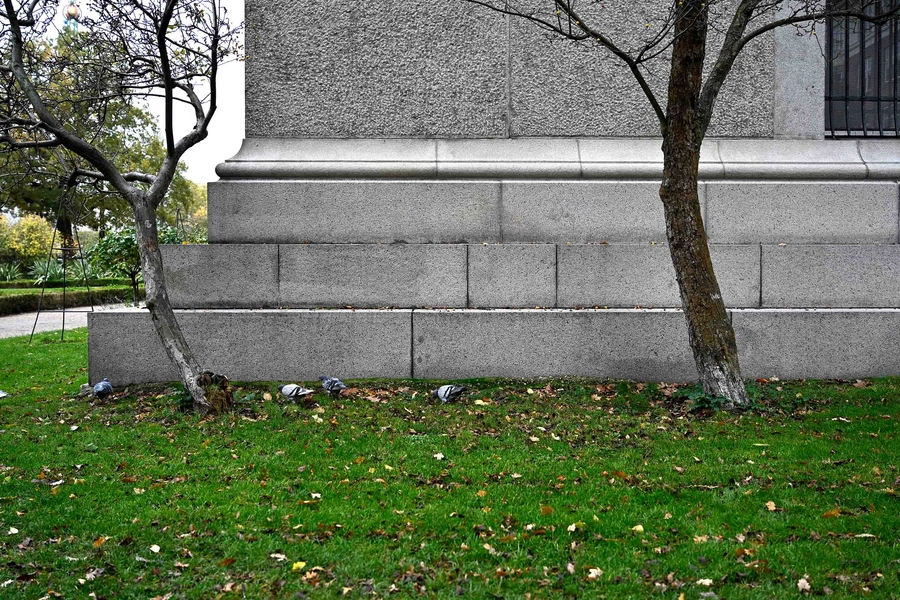 Ny Carlsberg Glyptotek Foto: 2025