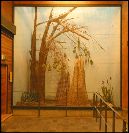 Zoologisk Have - Girafhuset Voliere