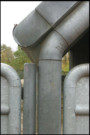 Zoologisk Have - Søndermarken detalie