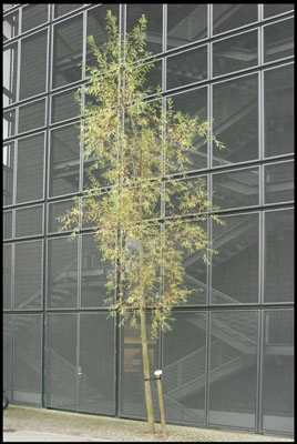 CBS - Solbjerg Plads Brandtrapper