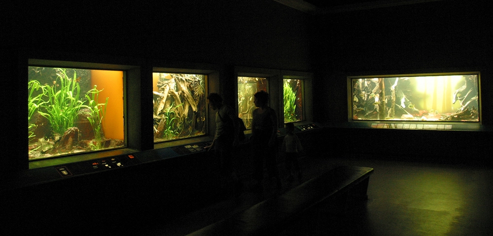 Danmarks Akvarium Gamle akvarier