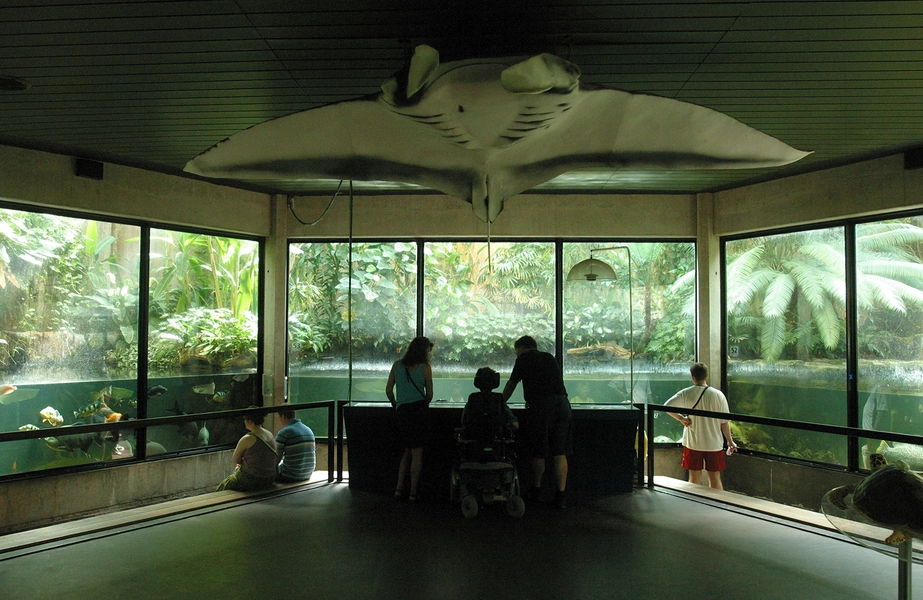 Danmarks Akvarium Nye akvarier