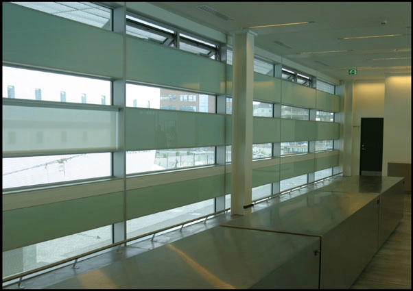 DFDS Færgeterminal Vinduer