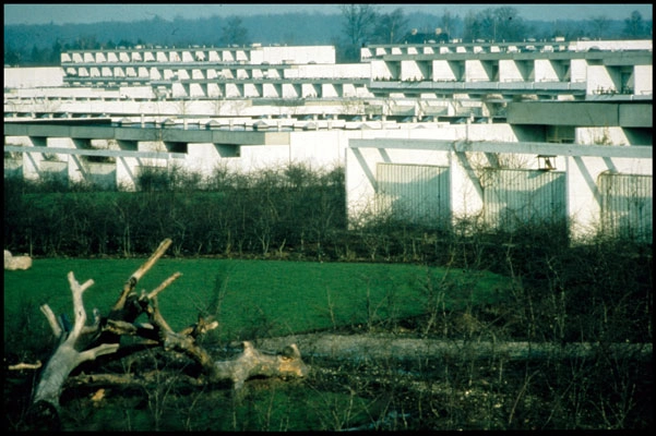 Eremitageparken Orientering