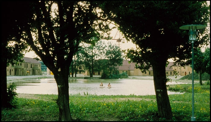 Gadekæret Gadekærets træer