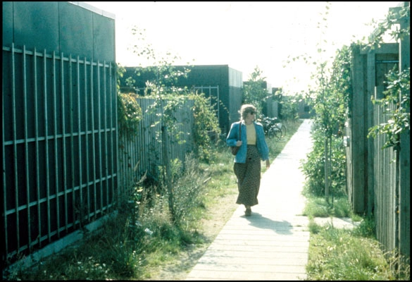 Galgebakken Sekundær sti