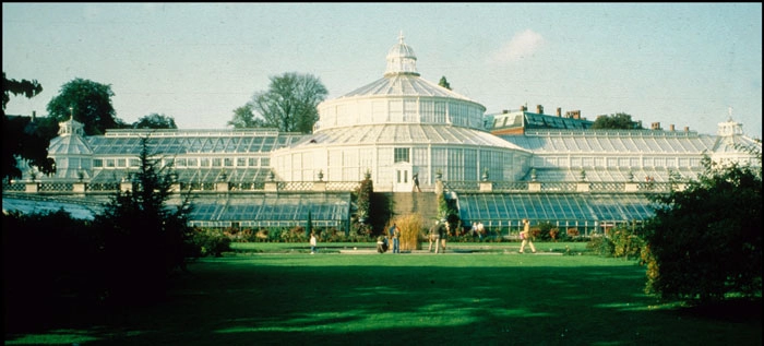 Botanisk Have - Restaurering af Palmehuset 