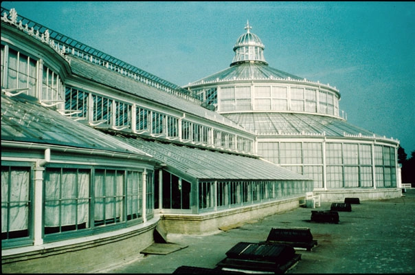 Botanisk Have - Restaurering af Palmehuset Facadeparti