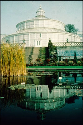 Botanisk Have - Restaurering af Palmehuset Kuppel