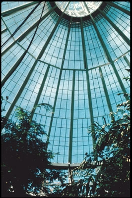 Botanisk Have - Restaurering af Palmehuset Kuppel set indefra