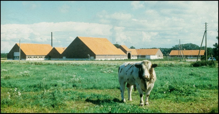 Morsø Landbrugsskole 