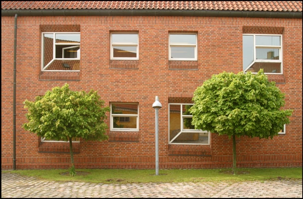 Maribo Rådhus Vinduer