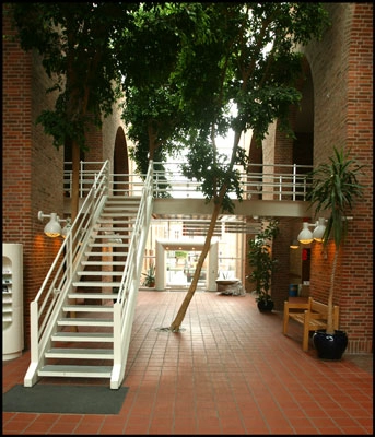 Maribo Rådhus Gangbro