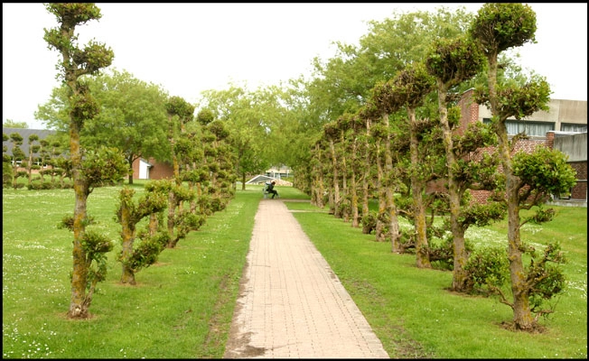 Nakskov Uddannelsescenter Park