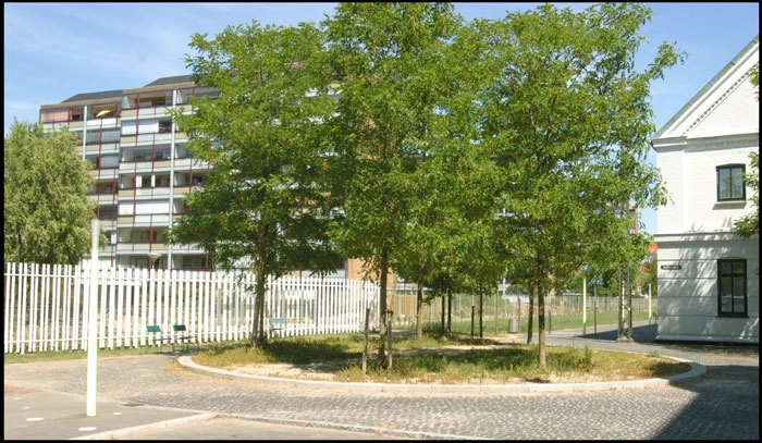 Prags Boulevard Rundkørsel