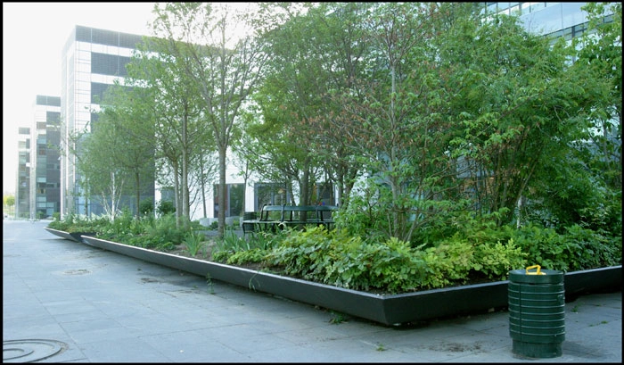 Solbjerg Plads Højbed