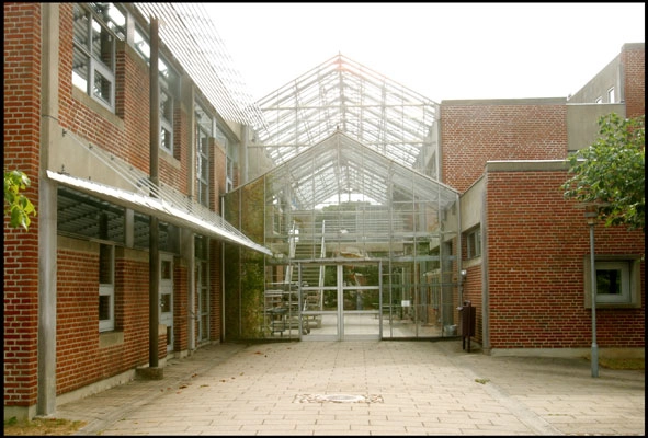 Alssundgymnasiet Sønderborg Hovedindgang