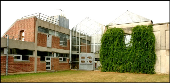 Alssundgymnasiet Sønderborg Hjørne