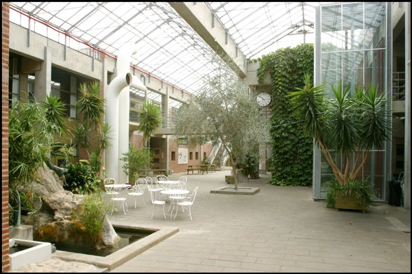 Alssundgymnasiet Sønderborg Torvet